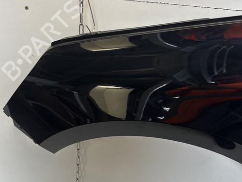 Left front fenders RENAULT MEGANE IV Hatchback (B9A/M/N_) 1.6 TCe 205 (B9MV) | BP29363181C41 