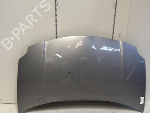 Panser TOYOTA AURIS (_E15_) 1.4 D-4D (NDE150_, NDE150R) (90 hp) 29365559
