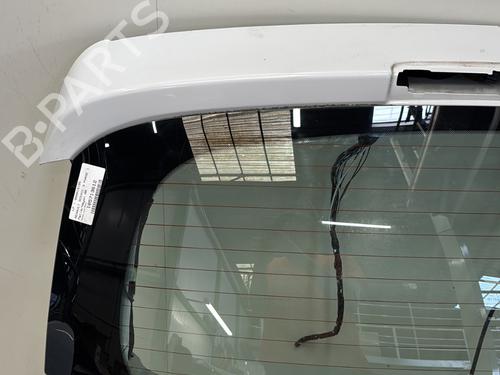 Tailgate RENAULT SCÉNIC III (JZ0/1_) 1.5 dCi | BP29363588C6 
