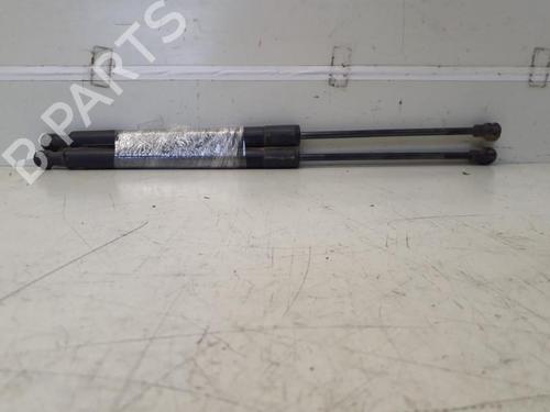 Tailgate lift support RENAULT ZOE (BFM_) ZOE | BP29367795C138