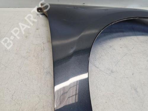 Used Right front fenders RENAULT GRAND SCÉNIC III (JZ0/1_) 1.5 dCi (JZ09, JZ0D, JZ10, JZ14, JZ1G, JZ29, JZ2C) (110 hp) 29369232