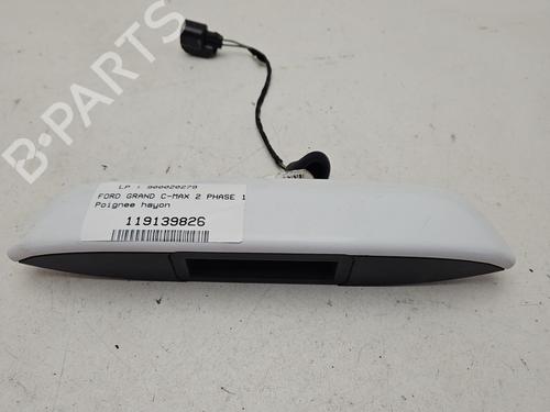Used Tailgate handle FORD GRAND C-MAX (DXA/CB7, DXA/CEU) 1.6 TDCi (115 hp) 31601892