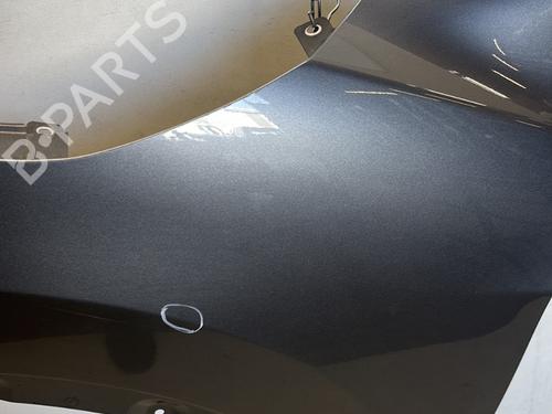 Left front fenders NISSAN QASHQAI II (J11, J11_) 1.5 dCi | BP29544263C41 