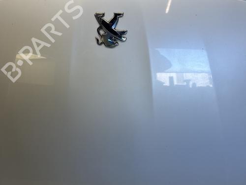 Hood PEUGEOT 308 SW II (LC_, LJ_, LR_, LX_, L4_) 1.6 BlueHDi 120 | BP29630148C1 