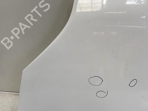 Hood FIAT QUBO (225_) 1.3 D Multijet (225CXB1A, 225AXB1A, 225CXB11, 225AXB11,... | BP29361948C1 