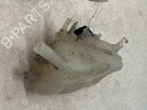 Expansion tank RENAULT MEGANE III Hatchback (BZ0/1_, B3_) 1.5 dCi (BZ09, BZ0D, BZ1W, BZ29, BZ14) | BP29368084C120 