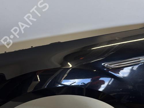Left front fenders FORD MONDEO IV (BA7) 2.0 TDCi | BP29365249C41 