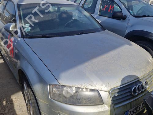 Peças AUDI A3 (8P1) 2.0 TDI 16V 4724519