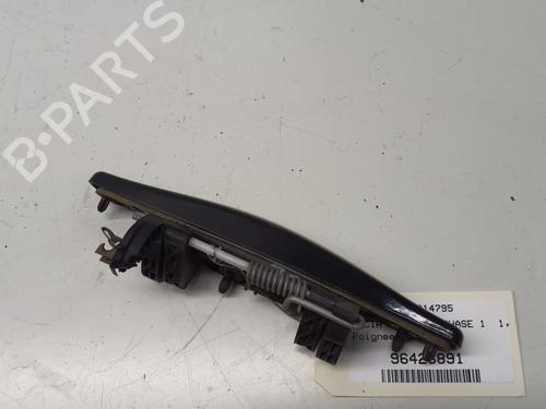Front left exterior door handle DACIA DUSTER (HS_) 1.5 dCi | BP29368789C128 