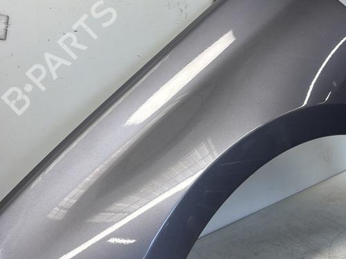 Left front fenders RENAULT LAGUNA III (BT0/1) 1.5 dCi (BT00, BT0A, BT0T, BT1J) | BP29364678C41 