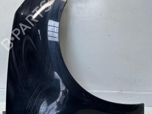 Right front fenders RENAULT SCÉNIC III (JZ0/1_) 1.5 dCi | BP29369602C42 