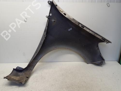Left front fenders RENAULT CLIO III (BR0/1, CR0/1) 1.5 dCi (BR17, CR17) | BP29364573C41 