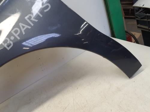 Left front fenders CITROËN C4 II (NC_) 1.4 VTi 95 (NC8FP0) | BP29364819C41 