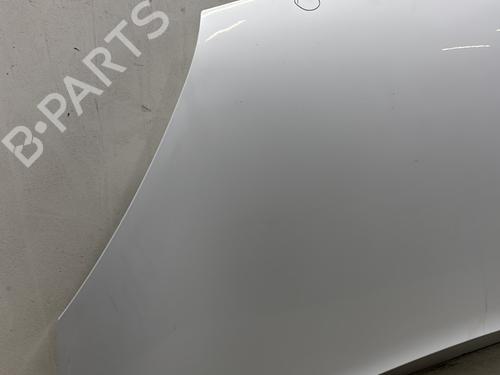 Hood RENAULT KANGOO Express (FW0/1_) 1.5 dCi 90 (FW0G, FW05, FW08, FW11) | BP29744659C1 