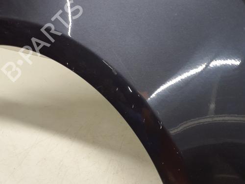 Right front fenders RENAULT CLIO III (BR0/1, CR0/1) 1.5 dCi (BR17, CR17) | BP29368528C42 