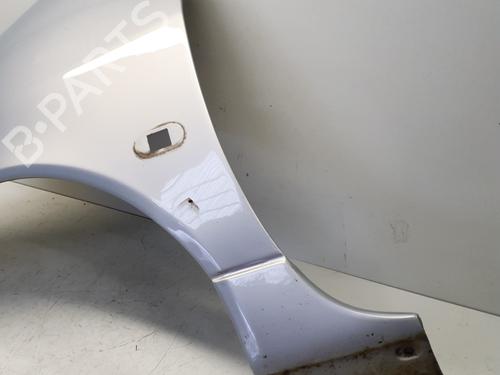 Left front fenders RENAULT TWINGO I (C06_) 1.2 (C066, C068) | BP29370004C41 