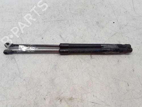 Tailgate lift support BMW 1 (E87) 118 d | BP29367739C138 