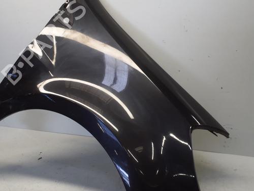 Right front fenders RENAULT CLIO III (BR0/1, CR0/1) 1.5 dCi (C/BR0G, C/BR1G) | BP29369694C42 