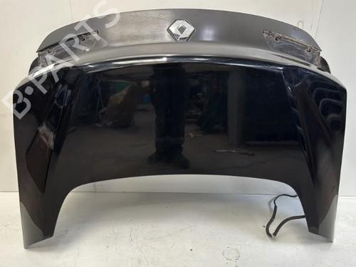 Used Tailgate RENAULT LAGUNA Coupe (DT0/1) 3.0 dCi (241 hp) 29369764