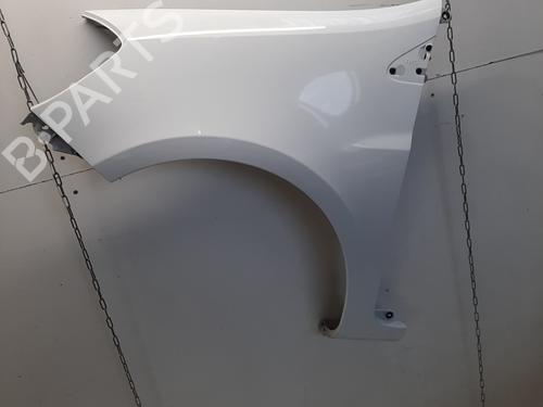 Used Left front fenders RENAULT CLIO III (BR0/1, CR0/1) 1.4 16V (98 hp) 29939032