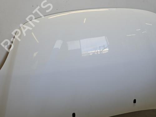 Used Hood FORD GRAND C-MAX (DXA/CB7, DXA/CEU) 1.6 TDCi (115 hp) 31601865