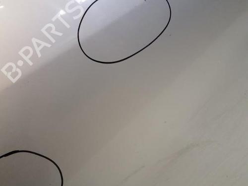 Right front door DACIA DUSTER (HS_) 1.6 16V Hi-Flex | BP29367854C3 