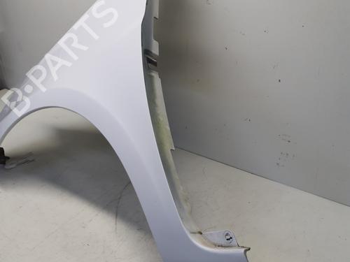 Left front fenders RENAULT CLIO III (BR0/1, CR0/1) 1.5 dCi (C/BR0G, C/BR1G) | BP29366252C41 