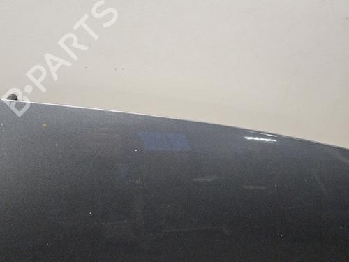 hood-renault-koleos-i-hy_-2008-30876035 main image