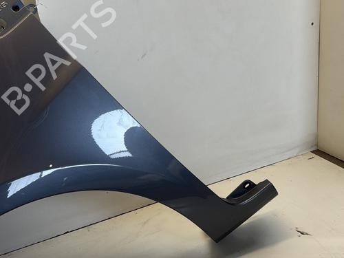 Left front fenders RENAULT CLIO III (BR0/1, CR0/1) 1.5 dCi (BR17, CR17) | BP29364461C41 