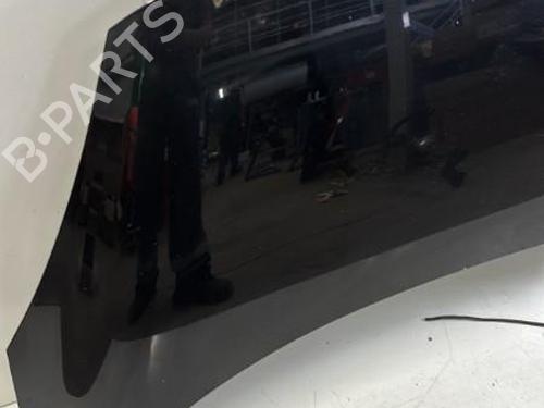 Hood RENAULT SCÉNIC III (JZ0/1_) 1.5 dCi | BP29369581C1 
