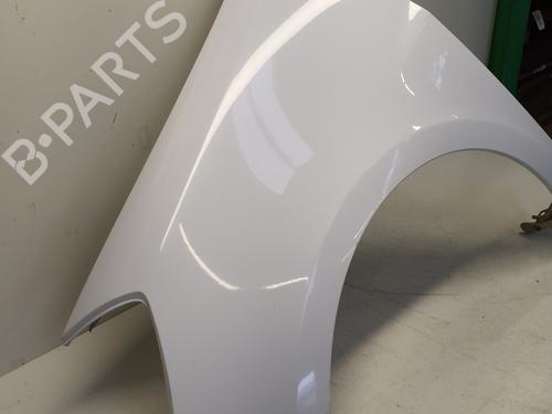 Left front fenders RENAULT CLIO III (BR0/1, CR0/1) 1.5 dCi (C/BR0G, C/BR1G) | BP29366252C41 