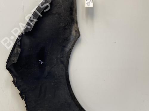 Left front fenders CITROËN C4 Grand Picasso I (UA_) 1.6 HDi | BP29364638C41 