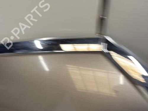 Hood CITROËN C4 Grand Picasso I (UA_) 1.6 HDi | BP29364719C1
