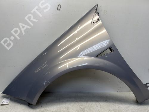 Left front fenders RENAULT MEGANE II (BM0/1_, CM0/1_) 2.0 16V (BM0U, CM0U) | BP29368179C41 