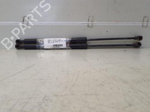 Used Tailgate lift support RENAULT ZOE (BFM_) ZOE (88 hp) 29367795