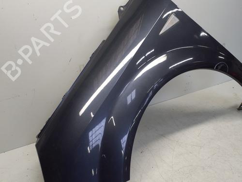 Left front fenders RENAULT SCÉNIC II (JM0/1_) 1.5 dCi (JM1E, JM16) | BP29363768C41 