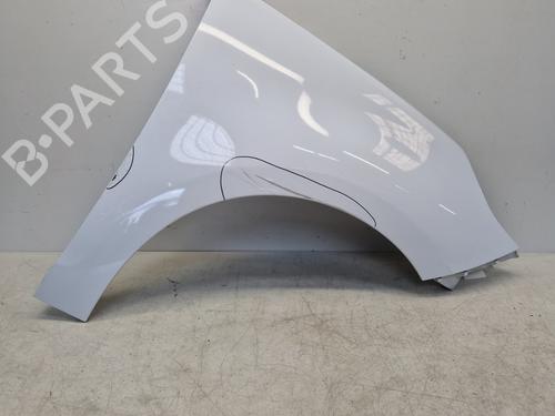 Used Right front fenders RENAULT SCÉNIC III (JZ0/1_) 1.5 dCi (110 hp) 29363590