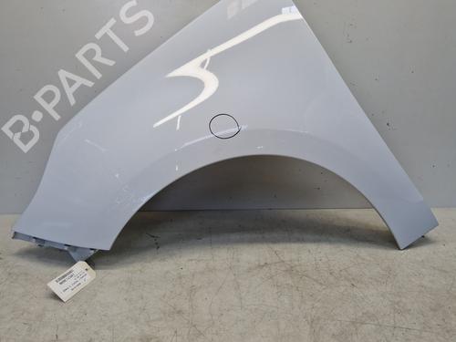 Used Left front fenders RENAULT SCÉNIC III (JZ0/1_) 1.5 dCi (110 hp) 29363591
