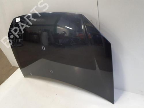 Used Hood VW POLO IV (9N_, 9A_) 1.4 TDI (70 hp) 29367839