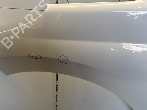 Left front fenders PEUGEOT 207 (WA_, WC_) 1.4 HDi | BP29365144C41 