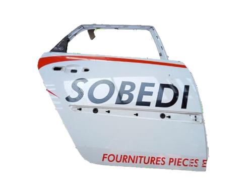 Tür rechts hinten für RENAULT SCÉNIC II (JM0/1_) 1.5 dCi (JM16) (103 hp) 29767212