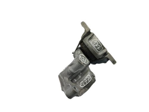 Motorophæng RENAULT SCÉNIC II (JM0/1_) 1.5 dCi (JM02, JM13) (101 hp) 29769648