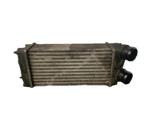 Used Intercooler CITROËN C4 Picasso I MPV (UD_) 1.6 HDi (109 hp) 29771612