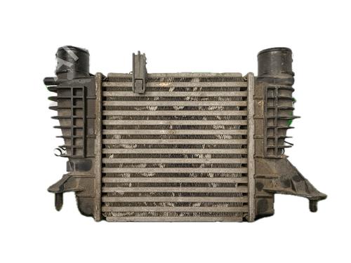 Intercooler RENAULT CLIO III (BR0/1, CR0/1) 1.5 dCi | BP29771653M30