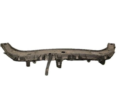 Frontblech für RENAULT SCÉNIC III (JZ0/1_) 1.5 dCi (110 hp) 29771699