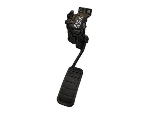 Pedal RENAULT CLIO III (BR0/1, CR0/1) 1.2 16V (103 hp) 29772456