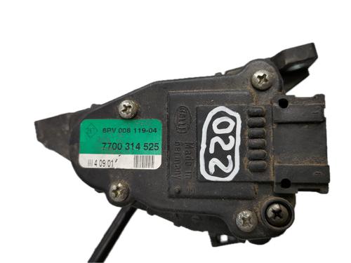 Pedal RENAULT CLIO III (BR0/1, CR0/1) 1.2 16V | BP29772456I4