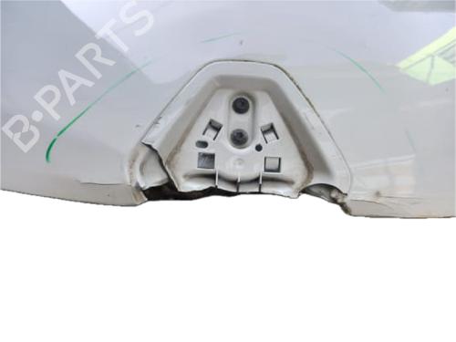Hood RENAULT MEGANE III Hatchback (BZ0/1_, B3_) 1.5 dCi | BP29773879C1 