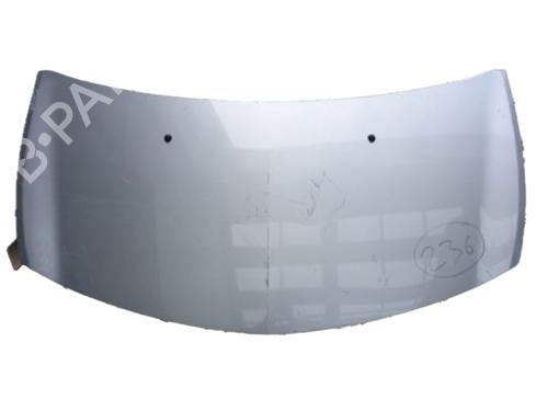 Used Hood RENAULT CLIO III (BR0/1, CR0/1) 1.5 dCi (82 hp) 29773882