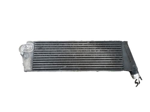 Intercooler RENAULT MEGANE II (BM0/1_, CM0/1_) 1.5 dCi (BM02, BM13, BM2A, CM02, CM13) | BP29776902M30 
